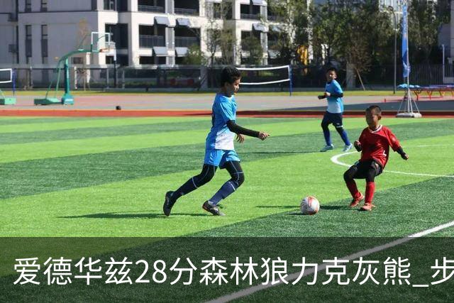 爱德华兹28分森林狼力克灰熊 步行者险胜国王